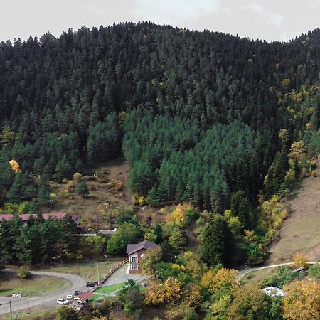 Holiday Borjomi Qvibisi Exterior foto
