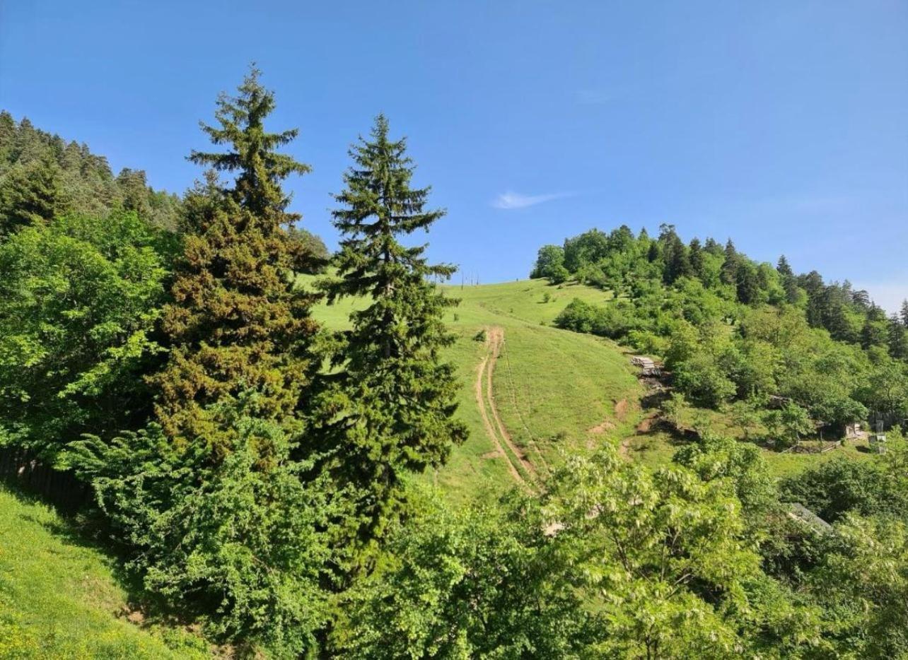 Holiday Borjomi Qvibisi Exterior foto