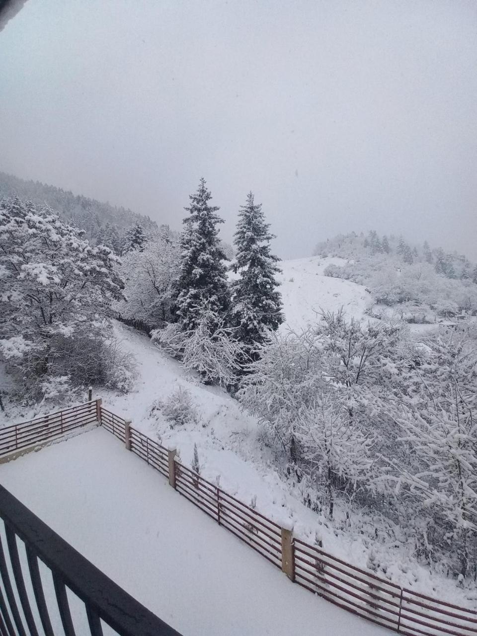 Holiday Borjomi Qvibisi Exterior foto